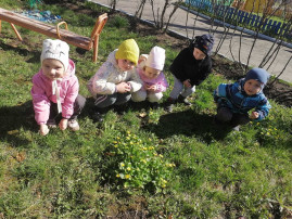 Прогулка Прогулка.