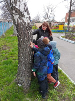 День берёзы День берёзы.