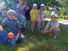 «Сад Памяти - 2024» «Сад Памяти - 2024».